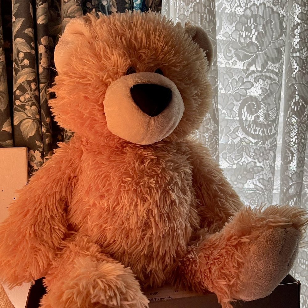 Huggable Teddy Bear